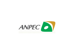 Anpec Electronics